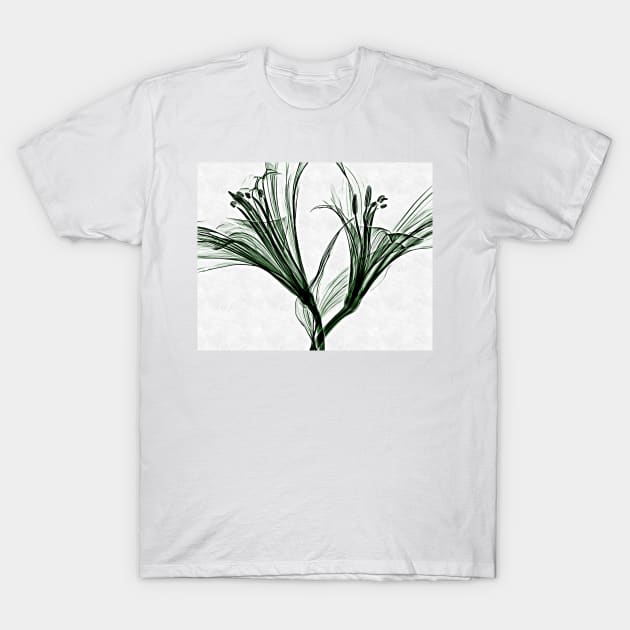 Plant blossom on white background T-Shirt by Choulous79